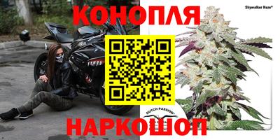 крисы Кунгур