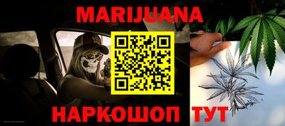крисы Кунгур