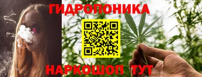 крисы Кунгур