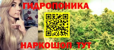 крисы Кунгур