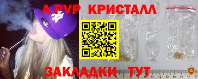крисы Кунгур