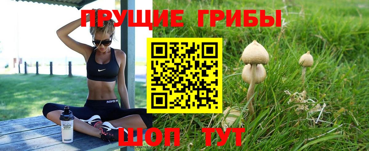 Галлюциногенные грибы Psilocybe Зеленодольск