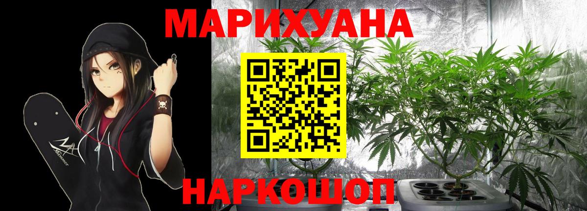 Бошки Шишки план Зеленодольск